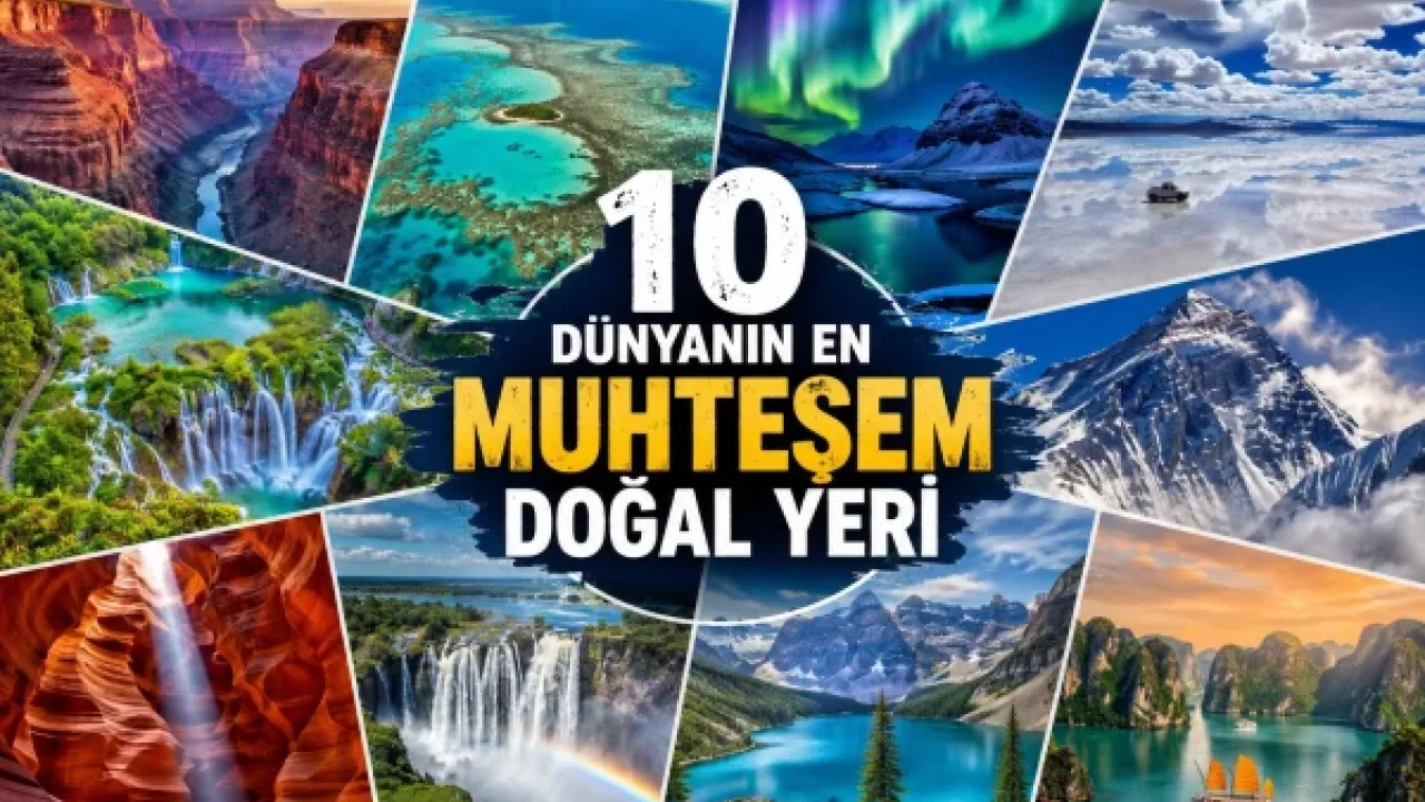 Kitap fuarında imza günleri düzenlendi