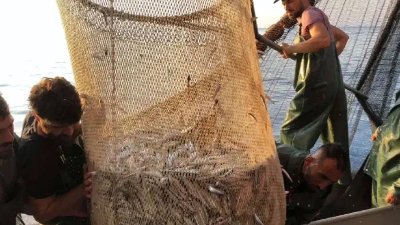 Balık sezonu İzmir tezgâhlarında bereketli başladı