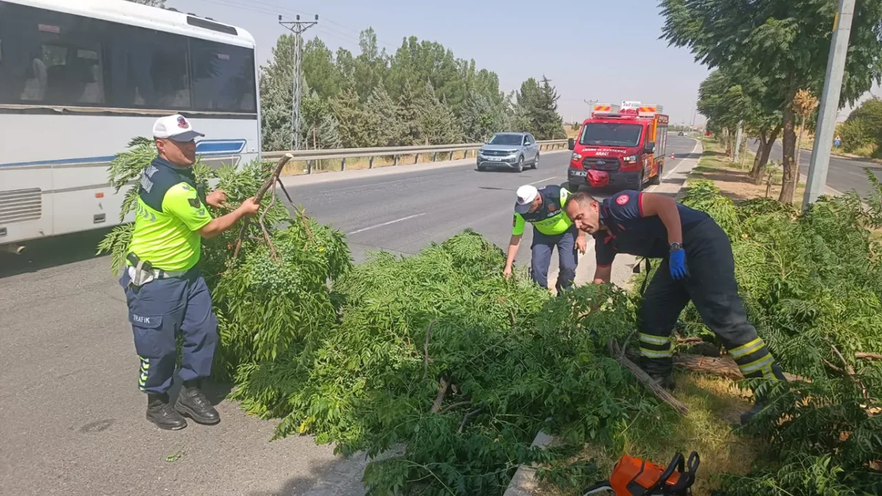 Batman-Silvan yolunda fırtına ağaçları devirdi