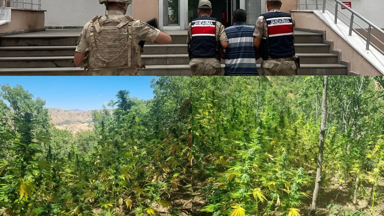 Bingöl’de bir haftalık asayiş bilançosu açıklandı
