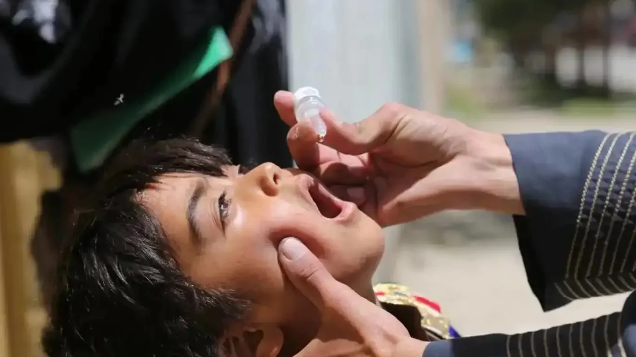 Çocuk felci aşılama kampanyası Afganistan'da başlıyor