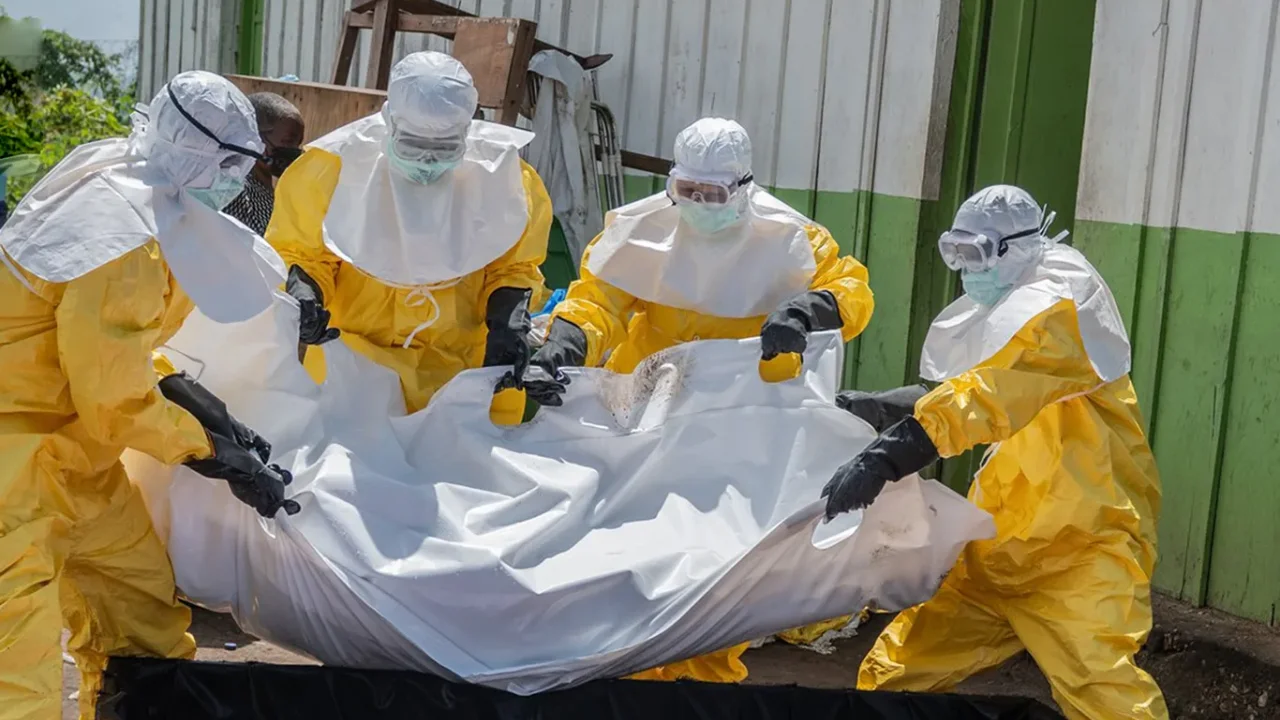 DSÖ: Ebola Demokratik Kongo Cumhuriyeti'nde yayılmaya devam ediyor
