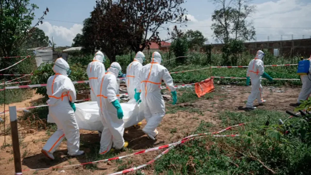 Ebola salgını Kongo'da can kayıplarını artırıyor