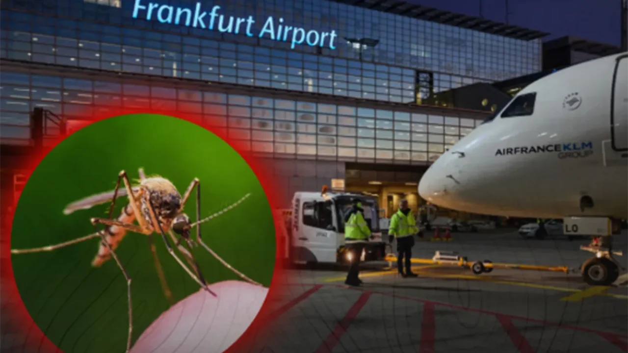 Frankfurt Havalimanı'nda sıtma alarmı