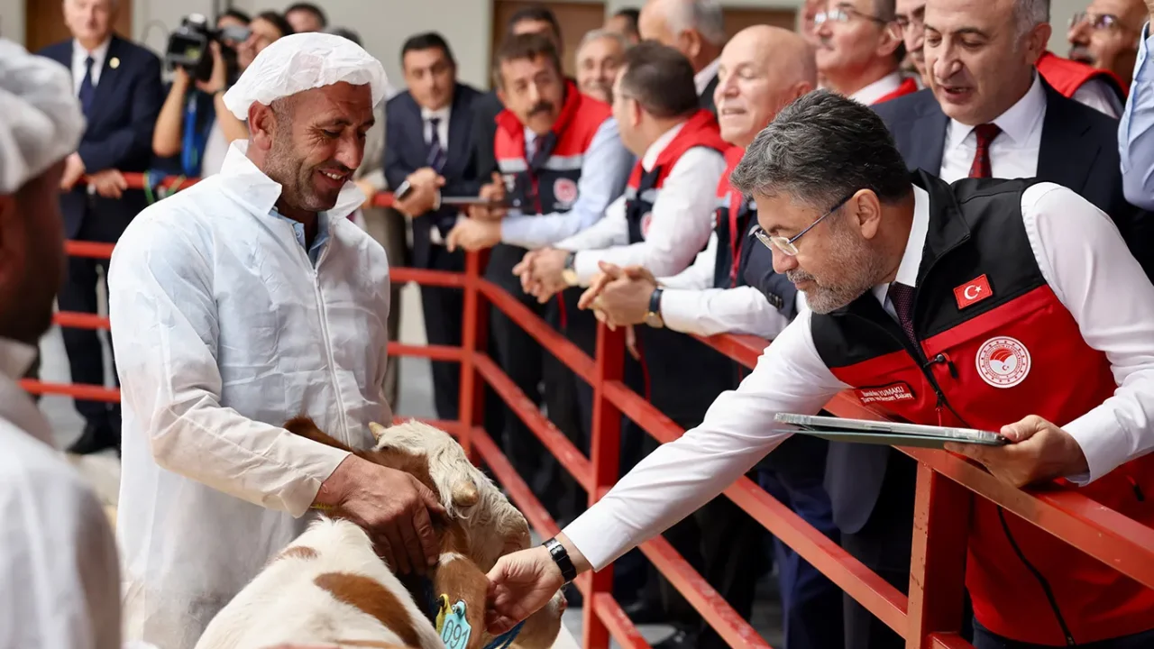 Hayvancılık Desteği ile Aşı ve Kimlik Ücreti Kalktı