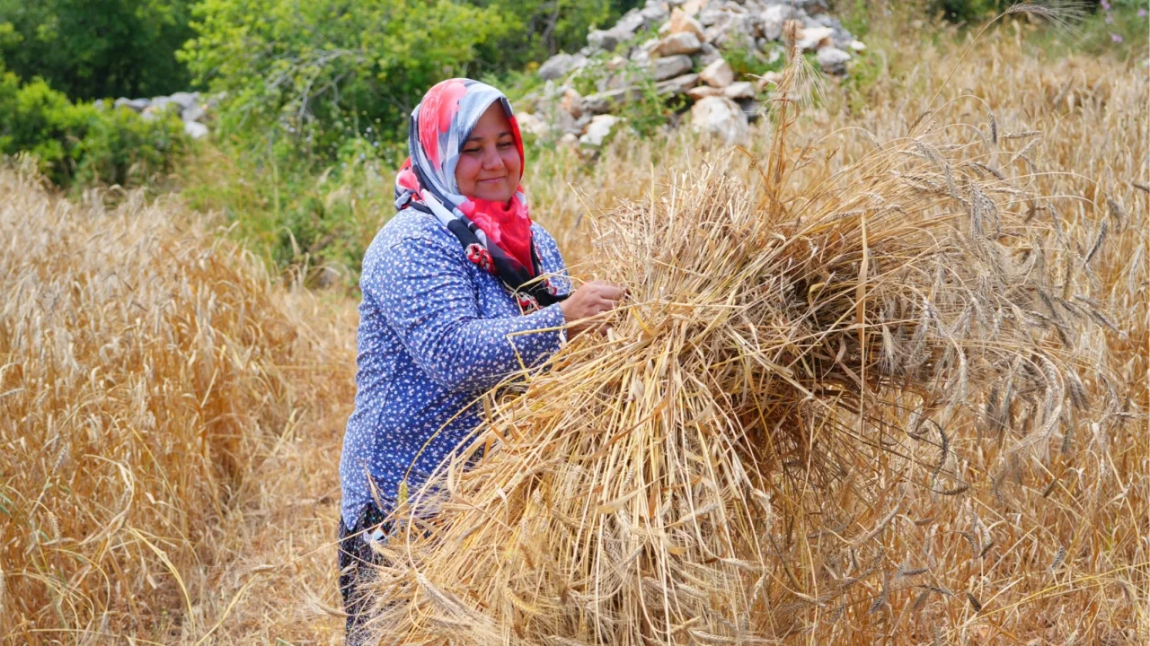 Kadın Emeğini Değerlendirme Vakfı Deprem Bölgesinde ‘Temiz Ekmek Projesi’ni Başlatıyor