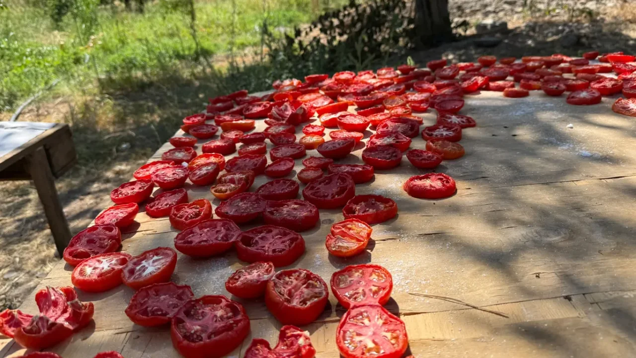 Kış hazırlıkları Malatya'da yazın bereketini sofralara.