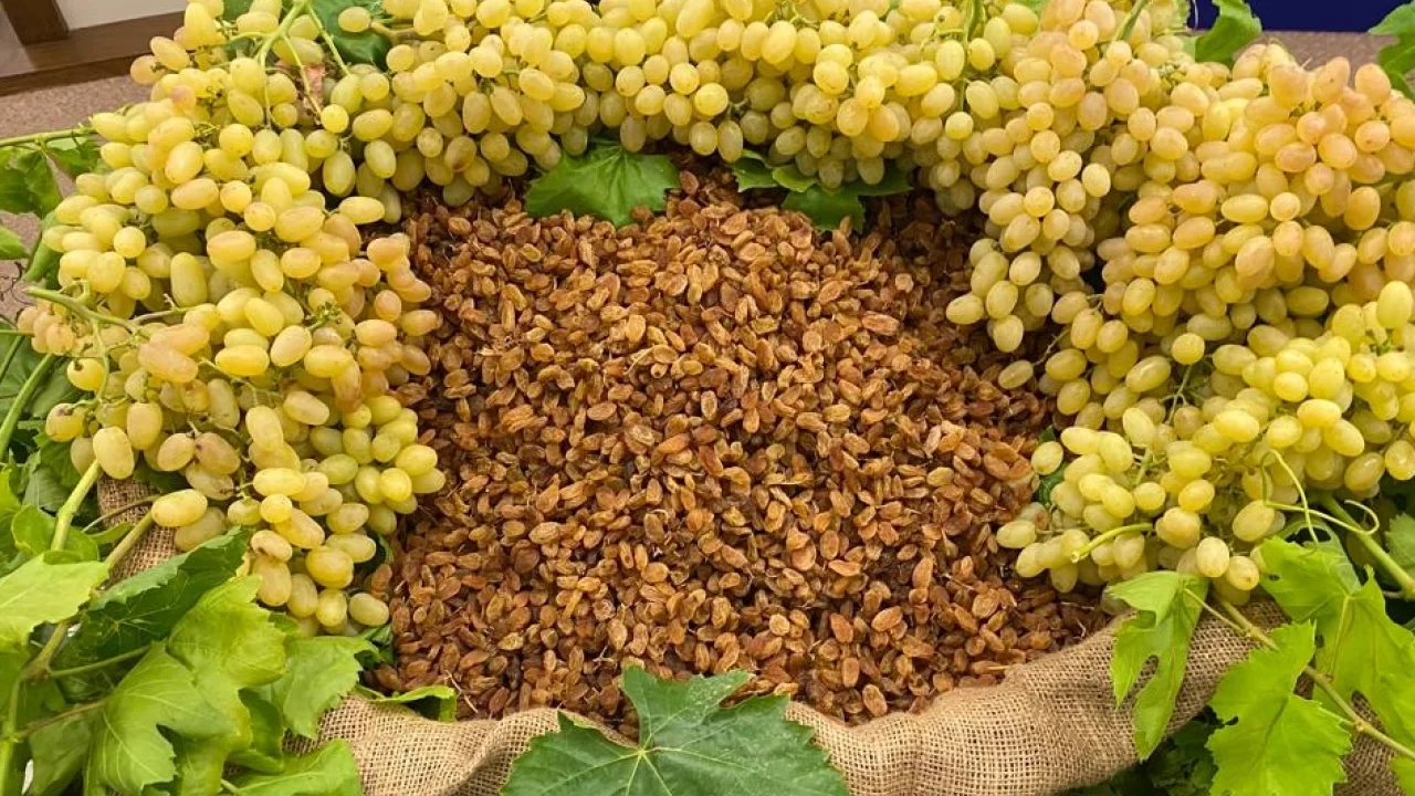 Kuru Meyve İhracatı Uluslararası İş Birliğiyle Büyüyor