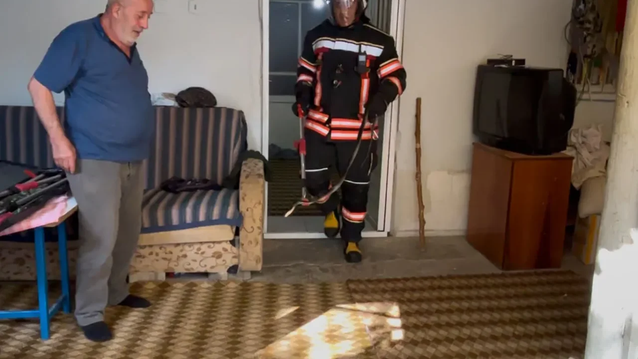 Malatya'da eve giren yılan ekiplerce uzaklaştırıldı