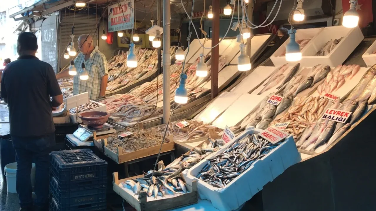 Mersin balık sezonu uygun fiyatlarla açıldı