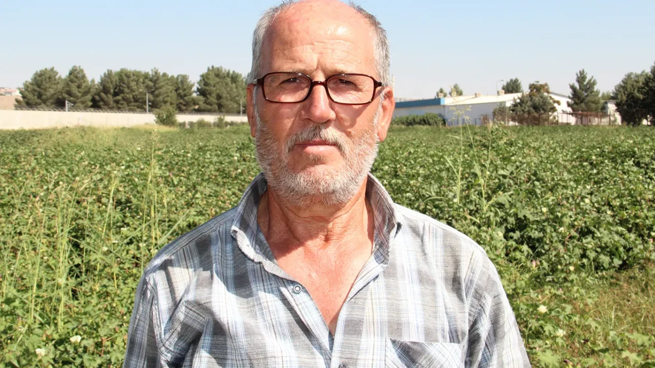 Pamuk üreticilerinden fiyat ve destekleme çağrısı