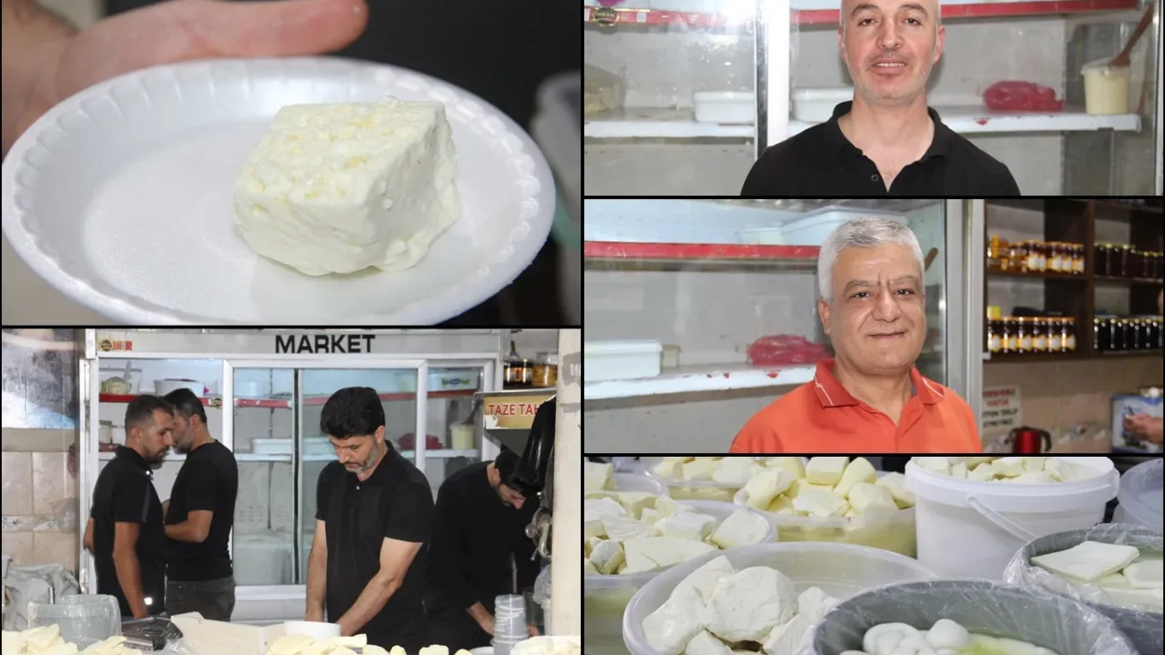 Peynir fiyatları artıyor: Koyun peyniri zamlandı