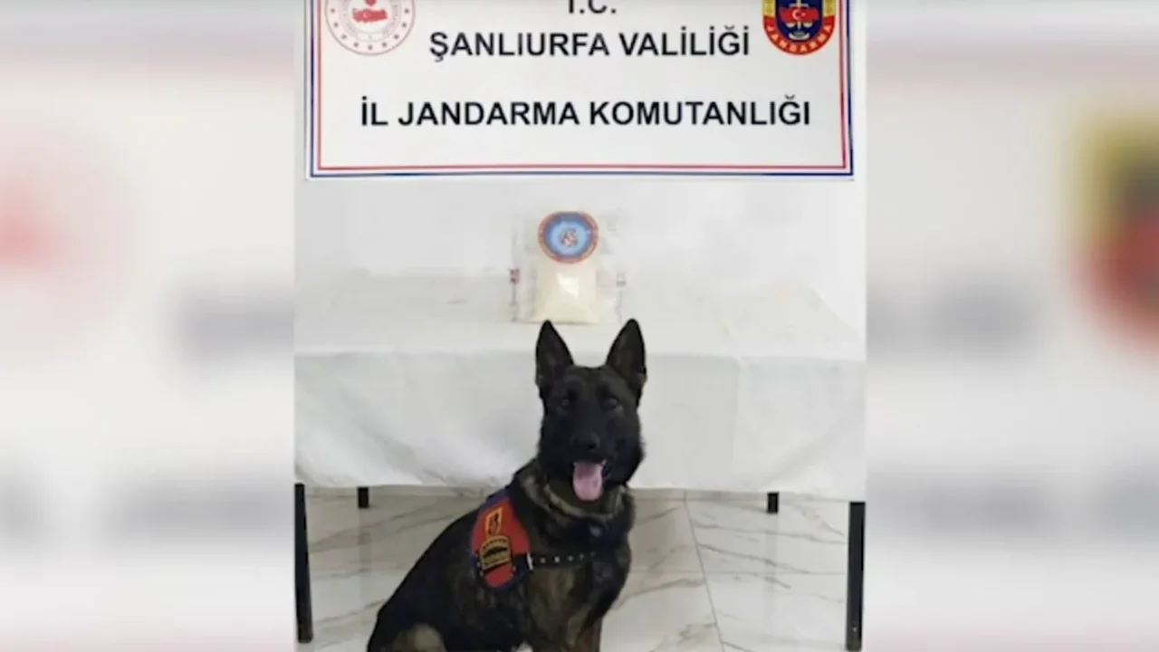 Şanlıurfa Birecik'te uyuşturucu operasyonu sürüyor