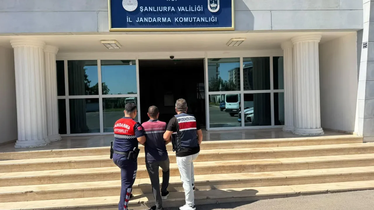 Şanlıurfa'da Hükümlü İki Şahıs Jandarma Tarafından.