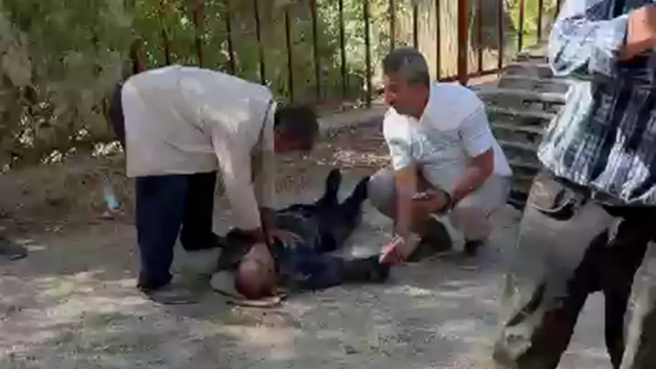Tohma Çayı'na devrilen araçta bir kişi hayatını.