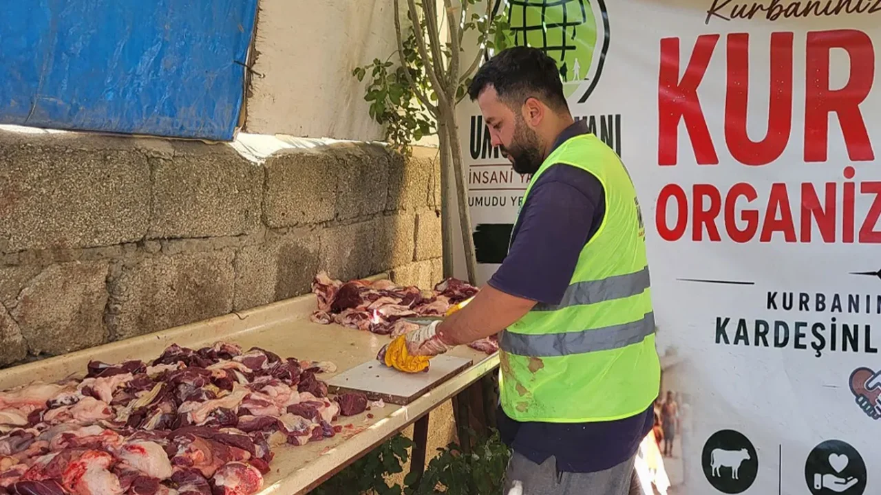 Van'da Adak Kurbanları İhtiyaç Sahiplerine Ulaşıyor